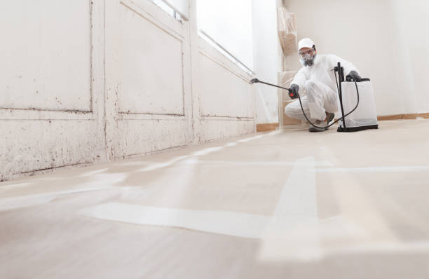 24/7 Emergency Commercial Mold Remediation experts in Barton, MD