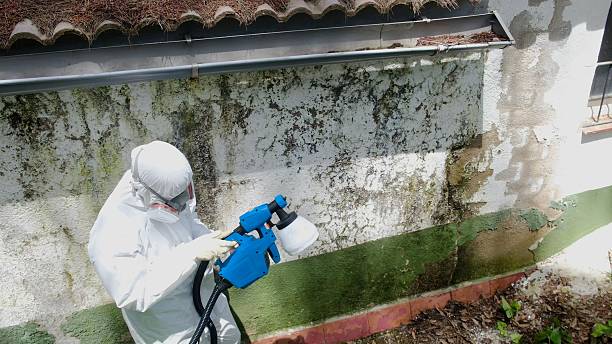 Top rated local Commercial Mold Remediation specialists in Barton, MD